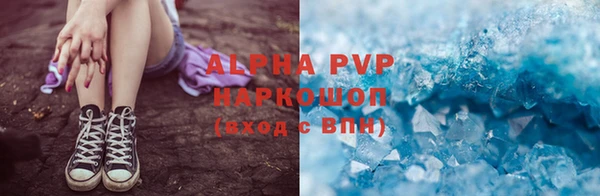 спайс Бородино