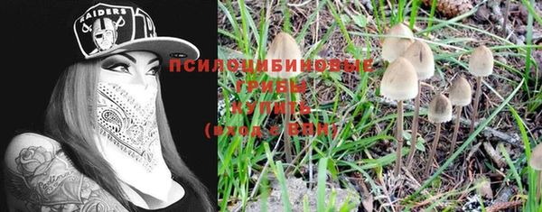 спайс Бородино
