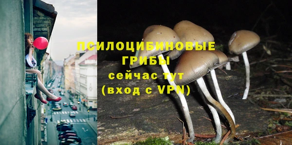 спайс Бородино