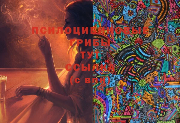 спайс Бородино