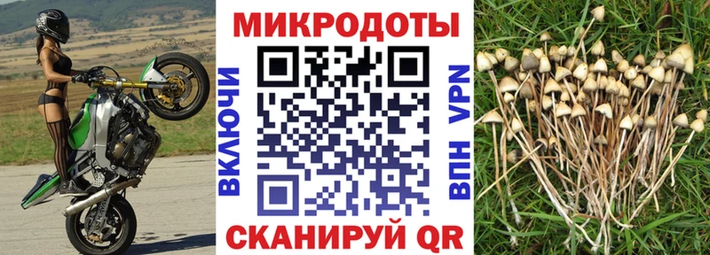 omg ССЫЛКА  Киселёвск  Псилоцибиновые грибы MAGIC MUSHROOMS 