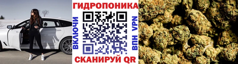 Канабис семена Киселёвск